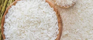 66 تن برنج قاچاق