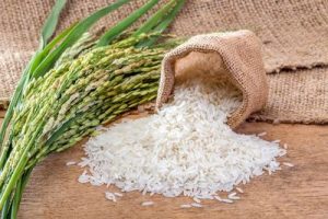 صادرات برنج به سوییس
