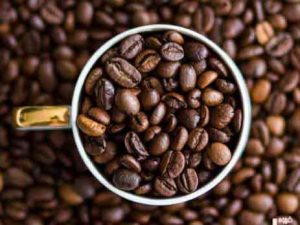 واردات قهوه