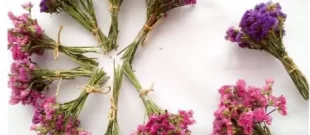 صادرات گل خشک از گمرک