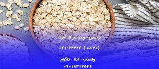 ترخیص جو دو سر از گمرک